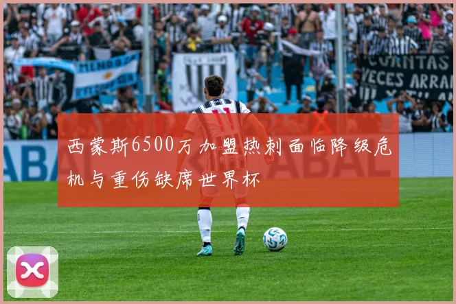 西蒙斯6500万加盟热刺面临降级危机与重伤缺席世界杯